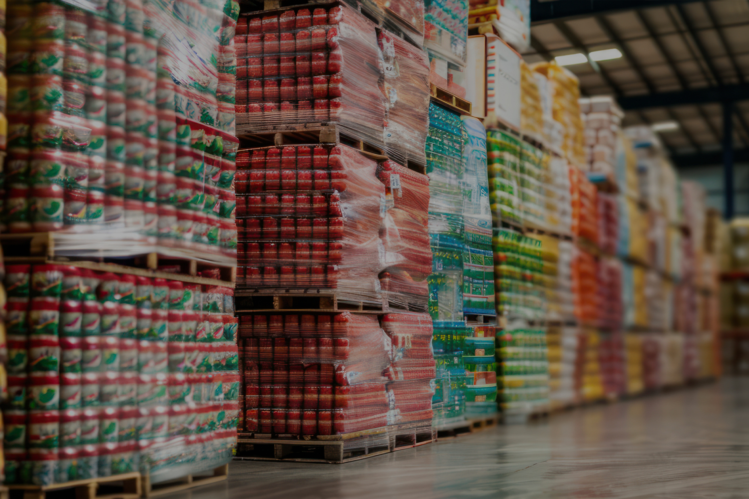 Logistic & E-Commerce