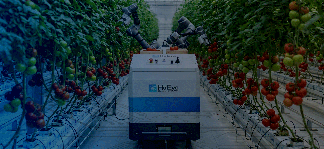 Pallettizzatori collaborativi AI-driven HuEvo