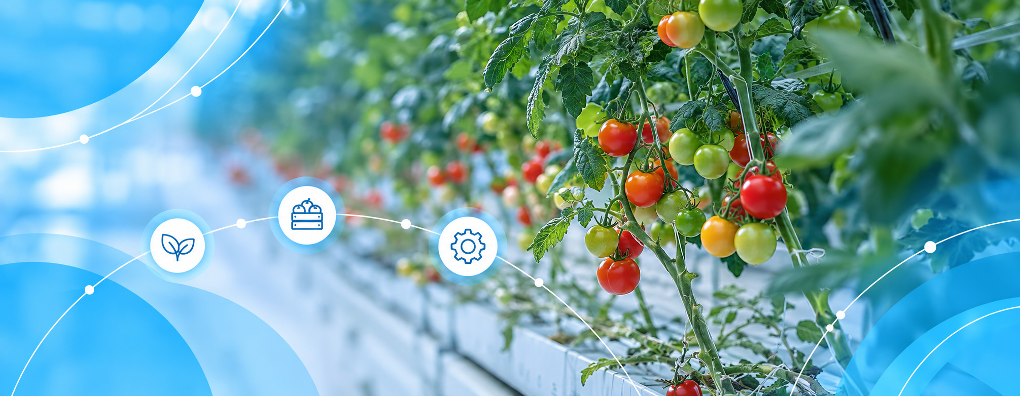 Automazione robotica HuEvo per l'industria Food & Beverage